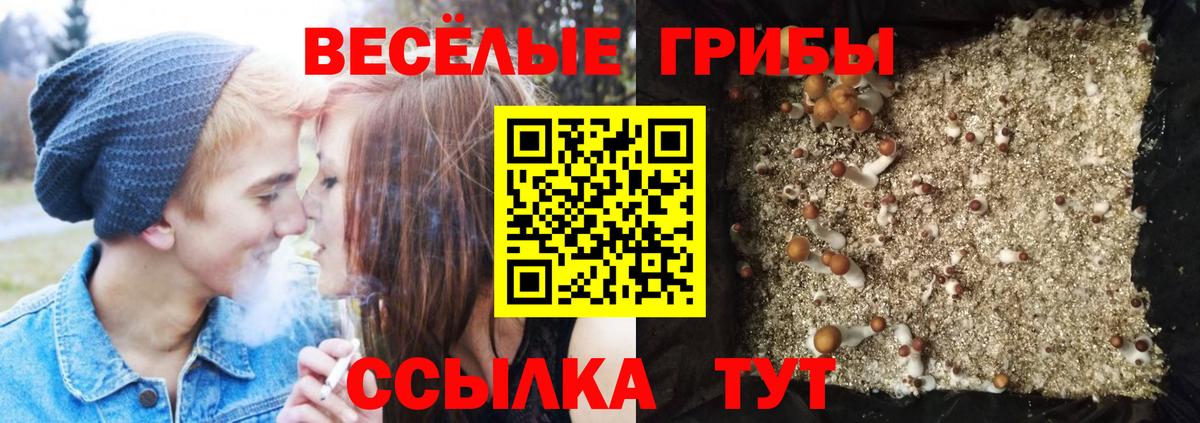Галлюциногенные грибы GOLDEN TEACHER  магазин продажи   Алапаевск  Вход с VPN 