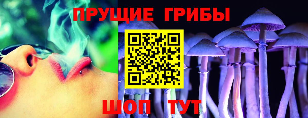 Псилоцибиновые грибы Cubensis Алапаевск
